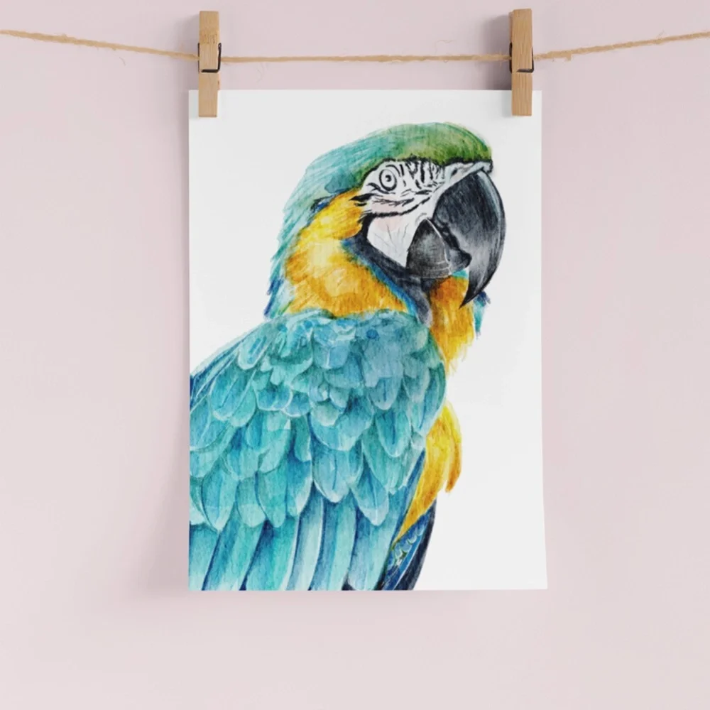 Blue Macaw Parrot Bird Watercolor Wall Art Print Poster Unframed - Picture 6 of 8